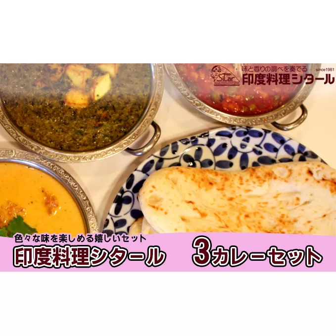 印度料理シタール 3カレーセット【カレー 詰め合わせ 加工食品 レトルト食品 惣菜 レトルト 簡単調理 】 冷凍 インドカレー バターチキンカレー マイルド スパイシー 辛口 キーマカレー ほうれん草とチーズのカレー 中辛 ミニナン 