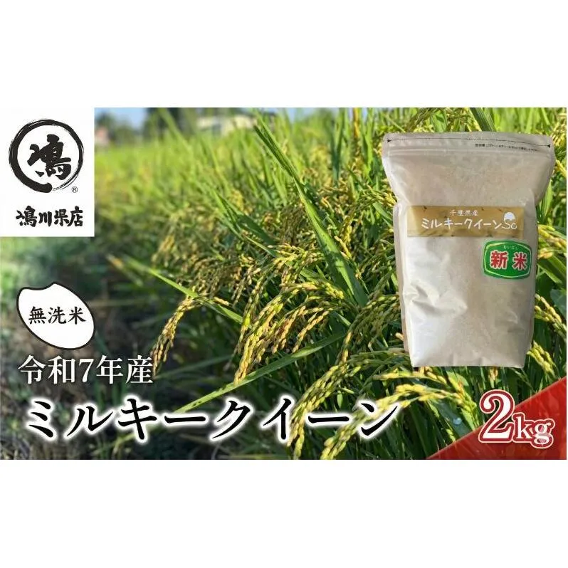 米 令和7年 ミルキークイーン 2kg  千葉産 乾式 無洗米　【お米 粘り もっちり おにぎり お弁当】 ミルキークイーン  こめ コメ おこめ