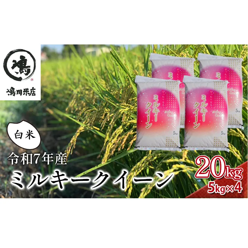 米 令和7年 ミルキークイーン 20kg ( 5kg × 4 ) 千葉産 白米　【 お米 ミルキークイーン こめ コメ おこめ 】