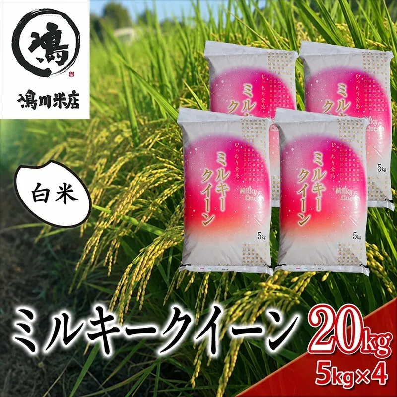 米 令和7年 ミルキークイーン 20kg ( 5kg × 4 ) 千葉産 白米　【 お米 ミルキークイーン こめ コメ おこめ 】