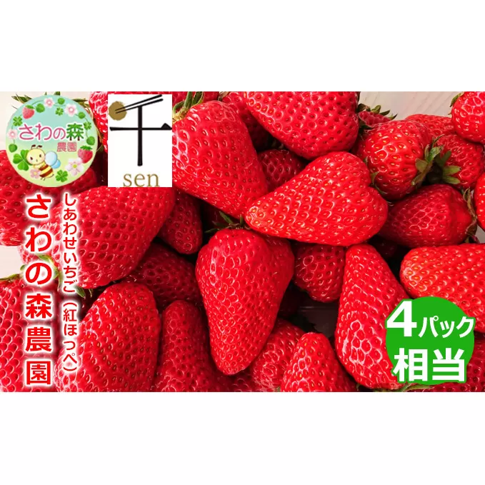 さわの森農園　しあわせいちご（紅ほっぺ）2シート詰め合わせ（4パック相当）【千ブランド イチゴ 苺 おやつ 果物】 フル−ツ デザート 上品な甘さ 程よい酸味 ストロベリー 