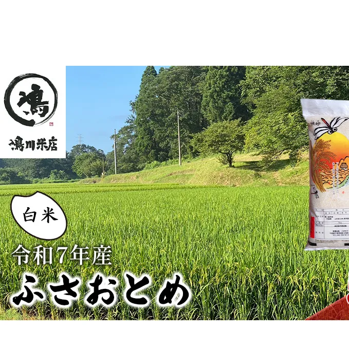新米　令和7年 ふさおとめ　白米　5kg 【 お米 精米 大粒 粘り気 ファン 】 千葉県 