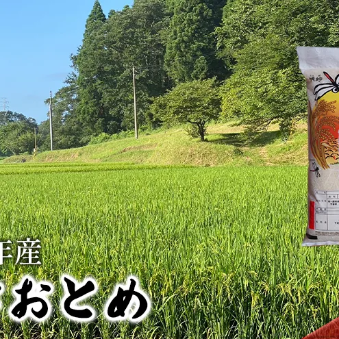 【令和8年産】ふさおとめ　 無洗米5kg【お米精米大粒粘り気ファン】千葉県