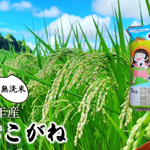【令和8年産】ふさこがね    無洗米5ｋｇお米千葉県