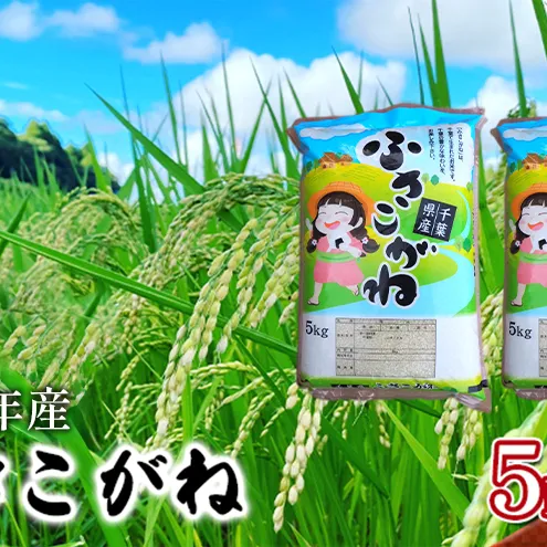 【令和8年産】ふさこがね    白米10kg（5kg×2）【お米こめコメおこめ】千葉県