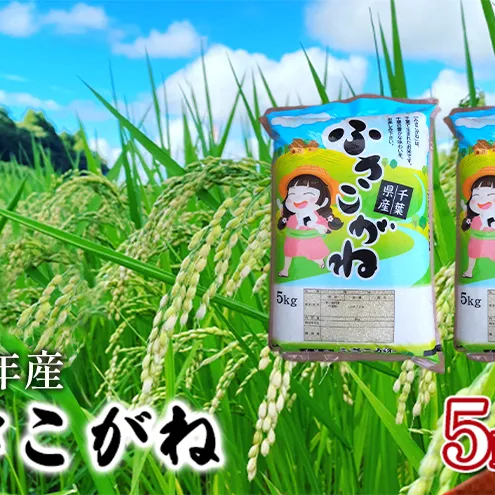 【令和8年産】ふさこがね    無洗米10kg（5kg×2）【お米こめコメおこめ】千葉県