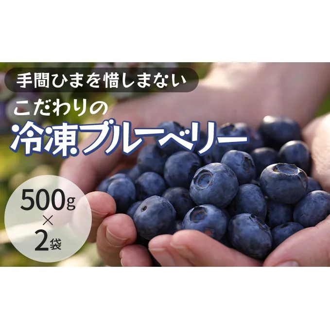 冷凍こだわりブルーベリー　500g×2【フルーツ  冷凍 1kg】