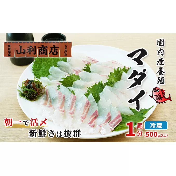 千葉市場直送　朝一活〆！マダイ1尾分（皮付ロイン・スキンレスロイン） 魚貝類 冷蔵 柵 養殖マダイ 新鮮 刺身 切り身 たいの刺身 たいの柵 つまみ 肴 
