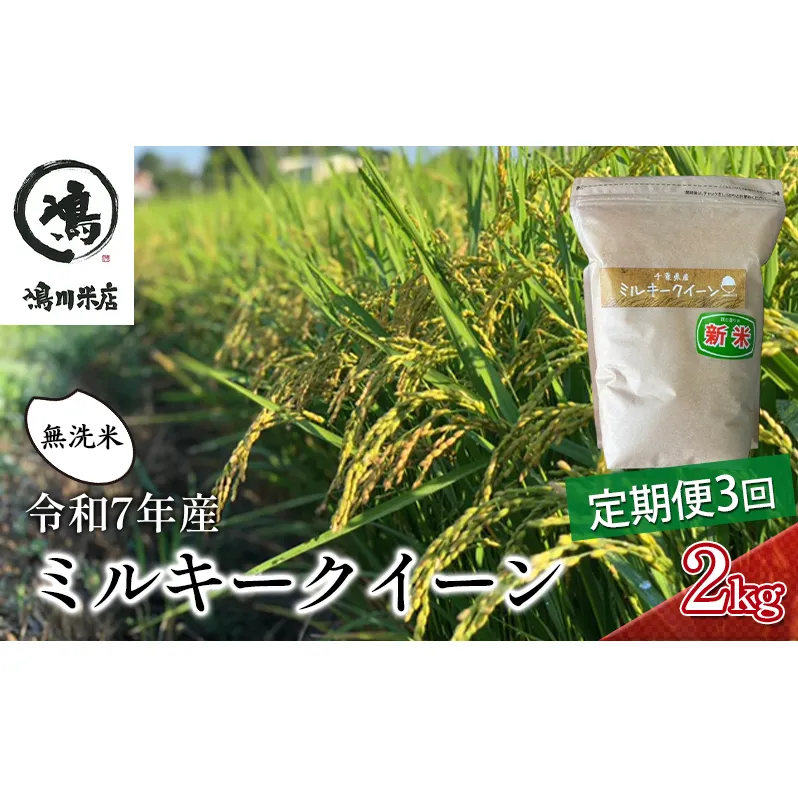 3ヶ月 令和7年 定期便 ミルキークイーン　乾式無洗米　2kg×3ヶ月 お米 精米 ライス ご飯 ブランド米 おにぎり お弁当 和食 産地直送 モチモチ 粘り 冷めてもおいしい