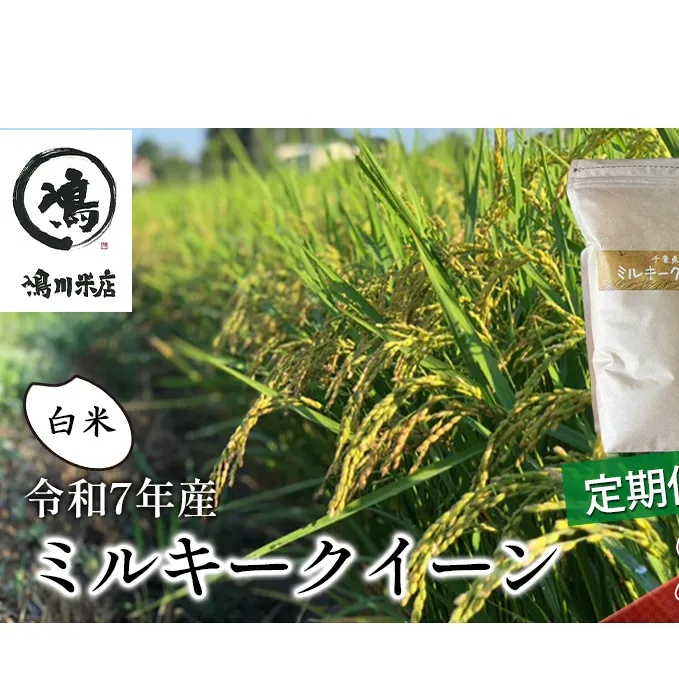 3ヶ月 令和7年 定期便 ミルキークイーン　白米　2kg×3ヶ月 お米 精米 ライス ご飯 ブランド米 おにぎり お弁当 和食 産地直送 モチモチ 粘り 冷めてもおいしい