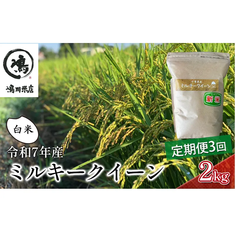 3ヶ月 令和7年 定期便 ミルキークイーン　白米　2kg×3ヶ月 お米 精米 ライス ご飯 ブランド米 おにぎり お弁当 和食 産地直送 モチモチ 粘り 冷めてもおいしい