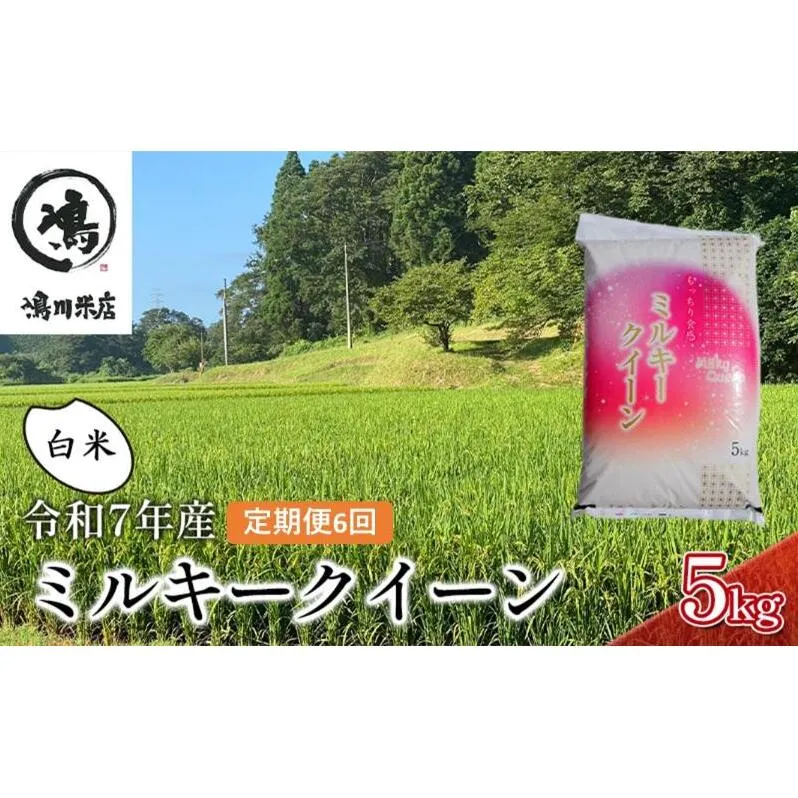 6ヶ月　定期便 令和7年  特別栽培米ミルキークィーン　白米　5kg×6ヶ月 お米 精米 ライス ご飯 ブランド米 おにぎり お弁当 和食 産地直送 モチモチ 粘り 冷めてもおいしい 