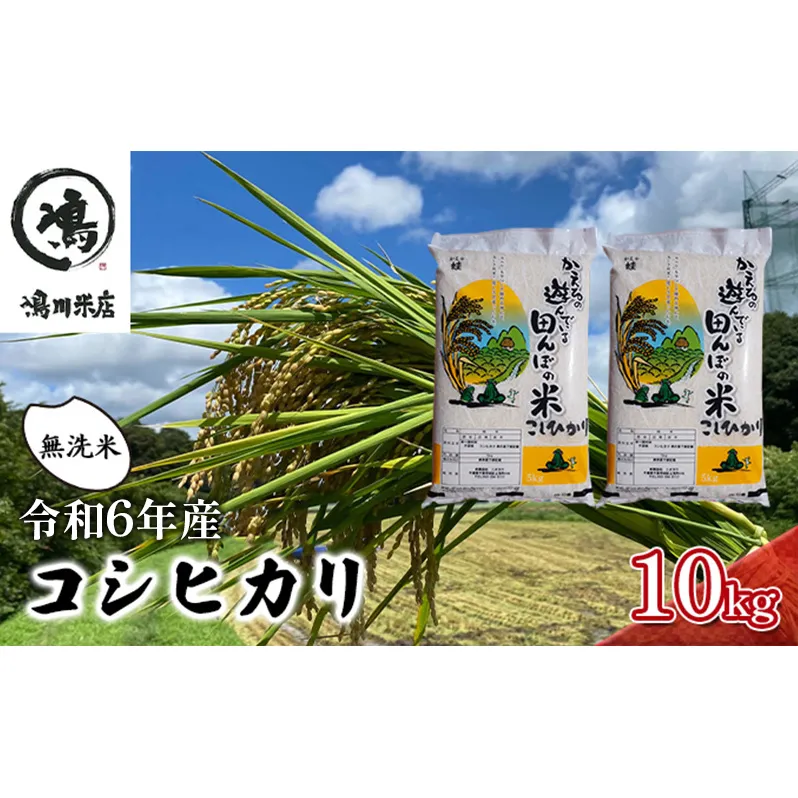 コシヒカリ 乾式無洗米 10kg（5kg×2）令和6年産 お米 精米 ご飯 美味しい 粘り つやつや 甘み 