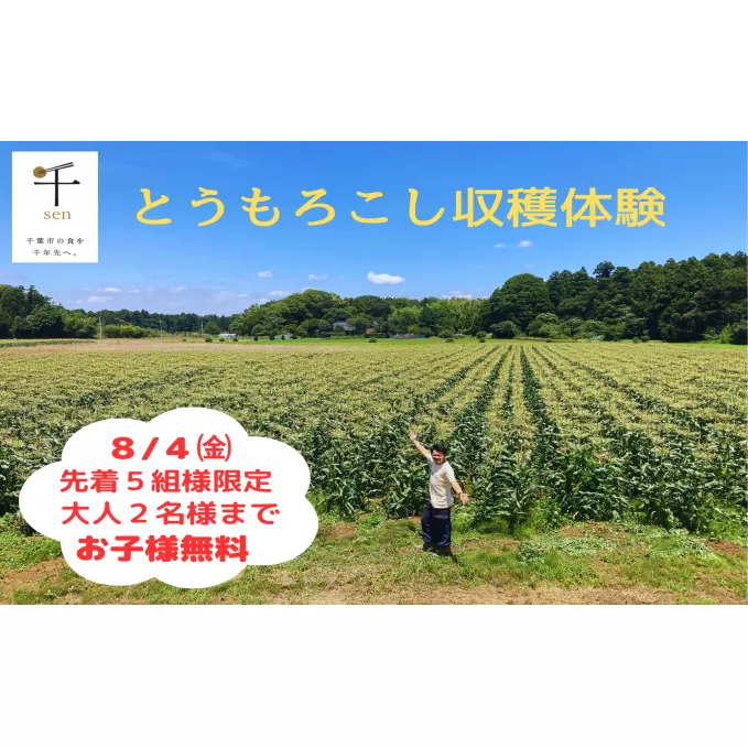 三ツ星コーン収穫体験　８月４日（金）　先着５組様限定