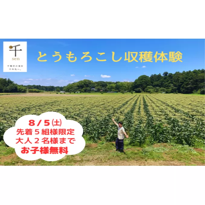 三ツ星コーン収穫体験　８月５日（土）　先着５組様限定 体験チケット チケット ブランド 畑 直接収獲 試食 お土産 自然 とうもろこし 