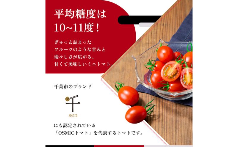 少し大きめの徳谷トマト4K B | 春 Spring fruits,徳谷トマト