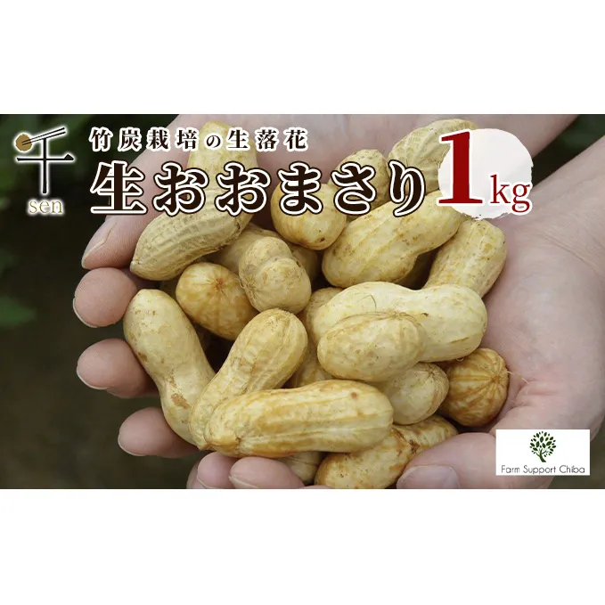 生落花生おおまさり1kg　千ブランド 豆類 野菜 食材 ジャンボ落花生 竹炭栽培 甘み コク 食べ応え 千葉県産落花生 国産 