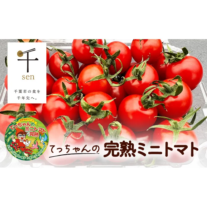 てっちゃんの完熟ミニトマト2kg採れたて農園直送 野菜 千 ブランド 酸味 甘味 美味しい プチトマト 子供 お弁当 お昼 サラダ 