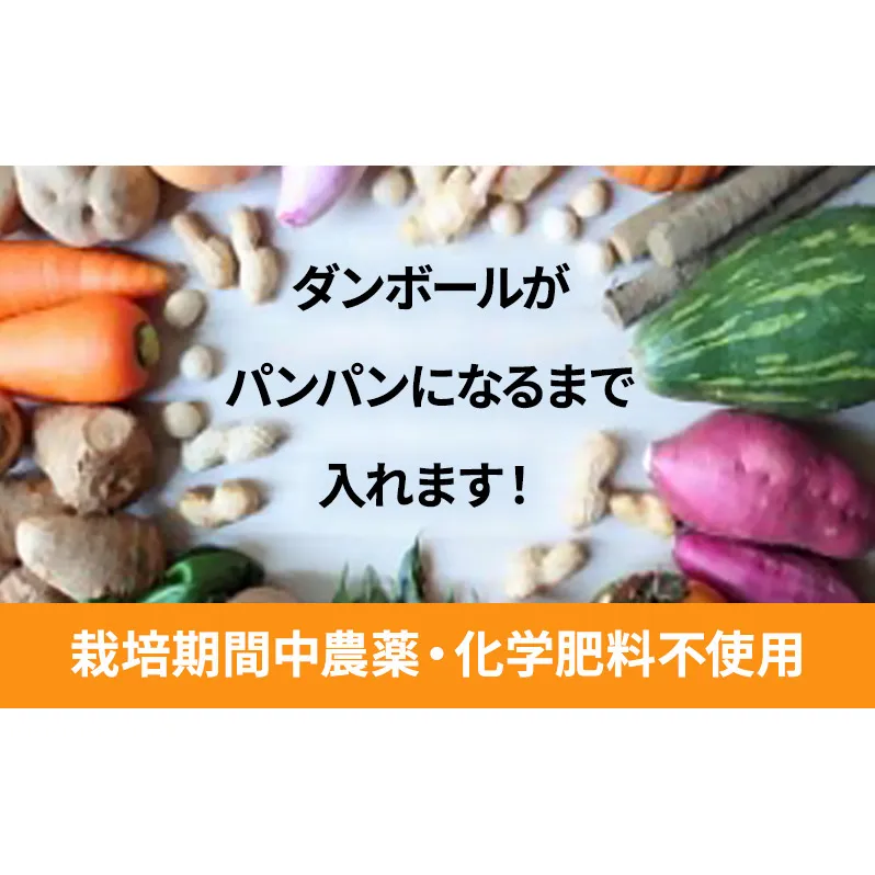 2～4名様向け／野菜6種に加工品をプラス