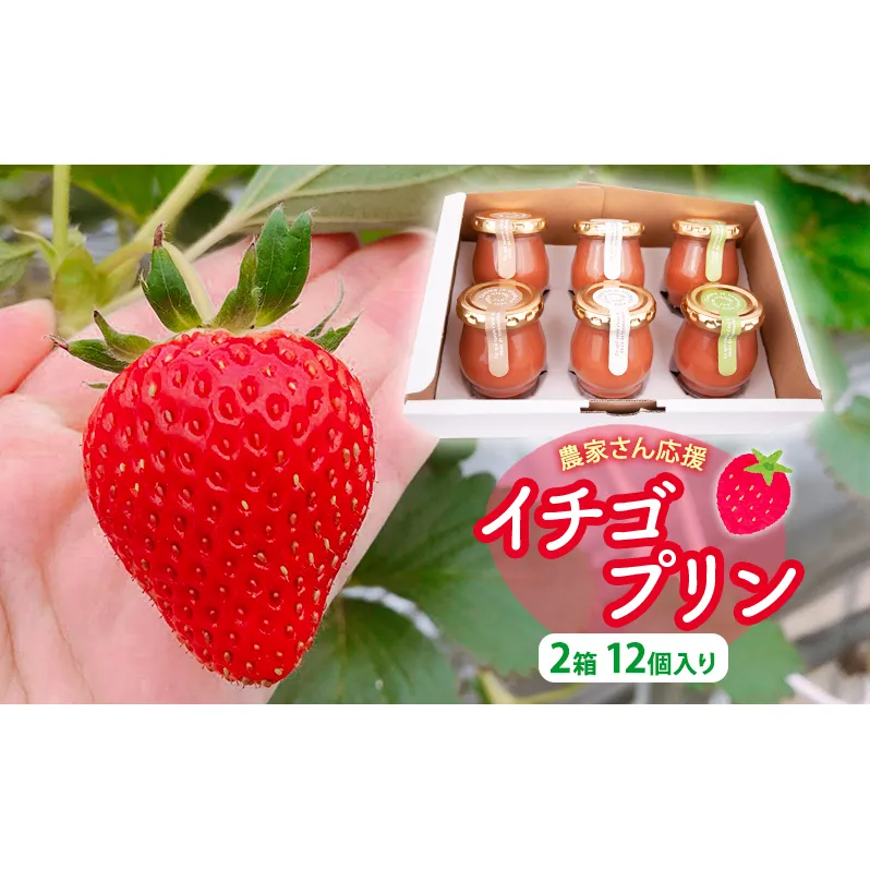 農家さん応援　イチゴプリン２箱１２個入り お菓子 おやつ スイーツ デザート 食後 ひんやりスイーツ 