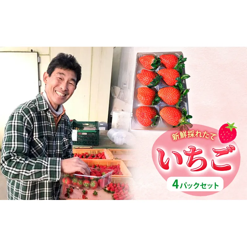 新鮮採れたて　いちご　４パックセット 果物 フルーツ 食後 デザート おやつ ストロベリー 旬の果物 