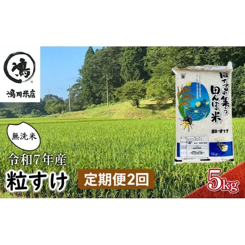 令和7年産 粒すけ　定期便2か月　乾式無洗米　5kg お米
