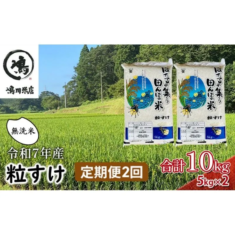 令和7年産 粒すけ　定期便2か月　乾式無洗米　10kg お米