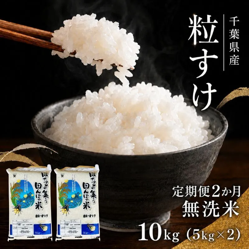 令和7年産 粒すけ　定期便2か月　乾式無洗米　10kg お米 