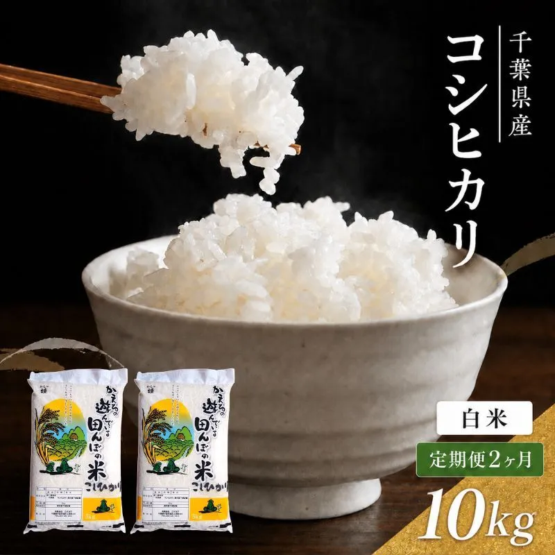 【定期2ヶ月】コシヒカリ　白米　10kg（5kg×2）令和7年産 お米 銘柄米 ご飯 おにぎり お弁当 和食 食卓 精米 国産 千葉県産 産地直送 