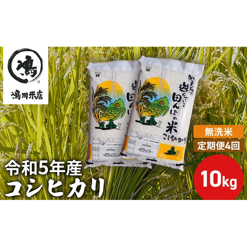 【定期4ヶ月】新米 コシヒカリ 乾式無洗米 10kg（5kg×2）令和5年産