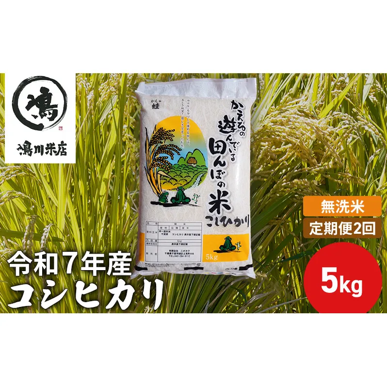 【定期2ヶ月】新米 コシヒカリ 乾式無洗米 5kg 令和7年産 お米 銘柄米 ご飯 おにぎり お弁当 和食 食卓 精米 国産 千葉県産 産地直送 