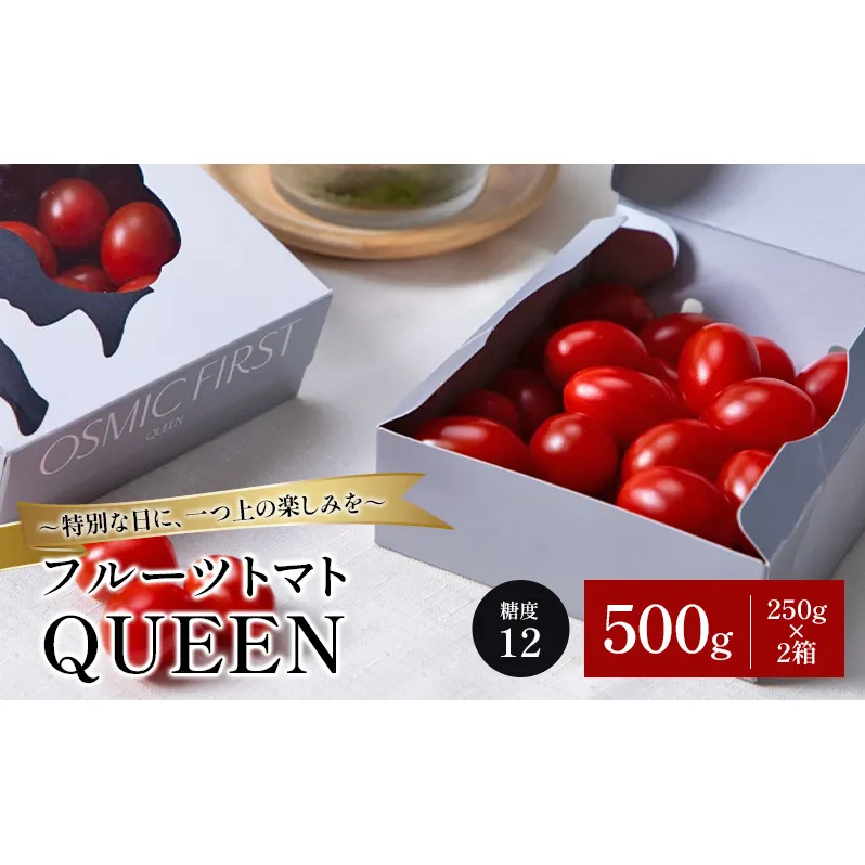 フルーツトマトQUEEN 500g(250g×2箱) トマト 国産 野菜 糖度12 濃厚 千葉市 千葉県
