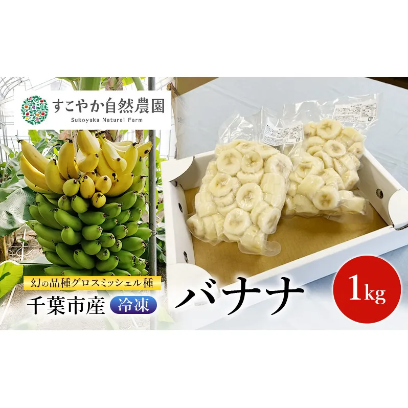 幻の品種 グロスミッシェル種 千葉市産 冷凍バナナ 1kg バナナ 果物 フルーツ 冷凍 千葉市