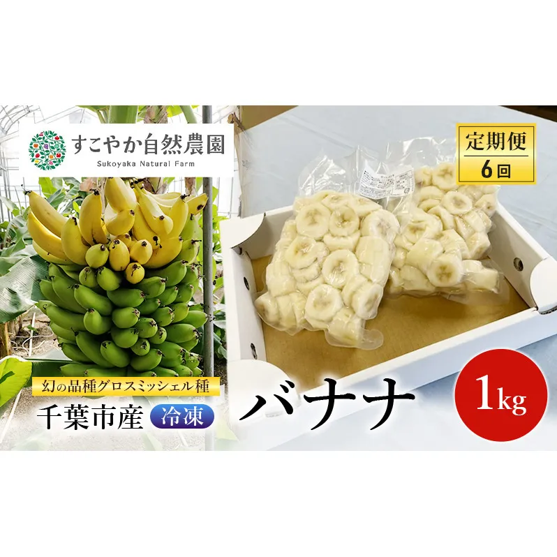 幻の品種 グロスミッシェル種 千葉市産 冷凍バナナ 1kg 定期便（6回）バナナ 果物 フルーツ 冷凍 千葉市