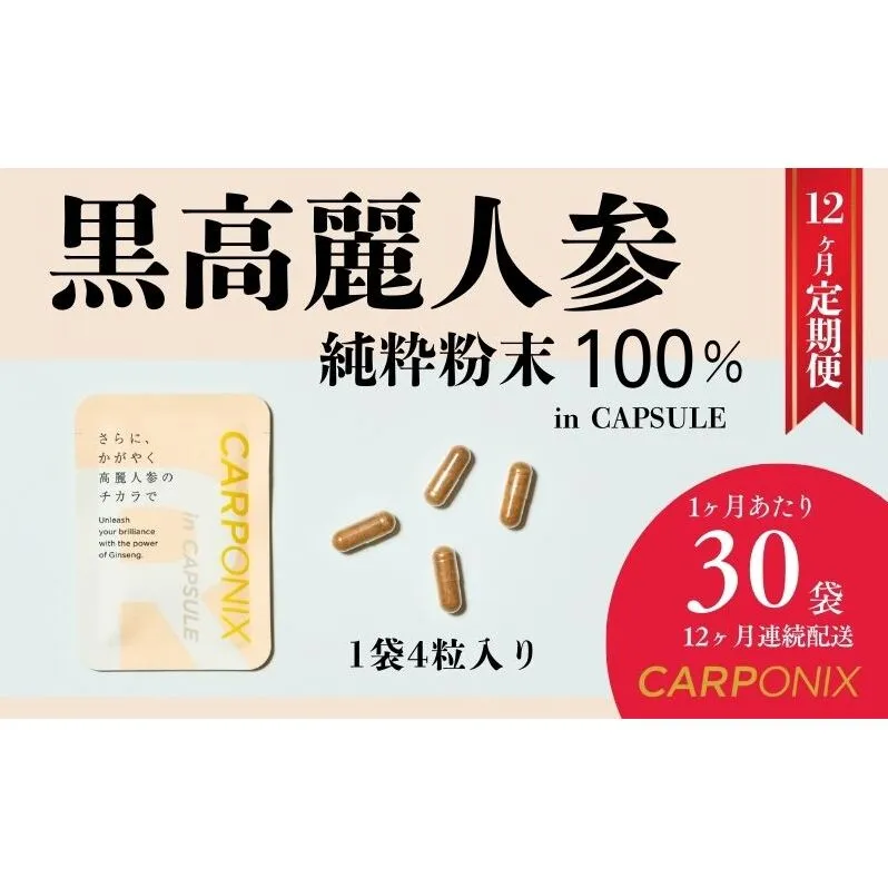 黒高麗人参「CARPONIX」4粒入り×30袋 【定期便 12ヶ月】 サプリメント サプリ 黒高麗人参 カプセル ジンセノサイド 千葉市