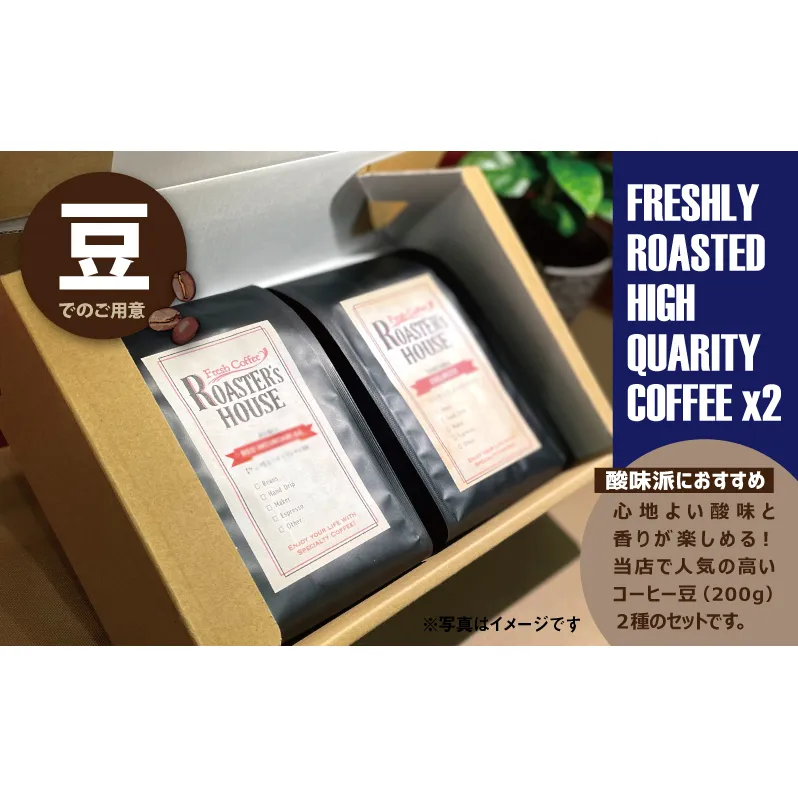 【酸味派におすすめ】エチオピア/モカ・イリガチェフェ＋タンザニア/キリマンジャロAA（豆）各200g コーヒー豆 珈琲 千葉市