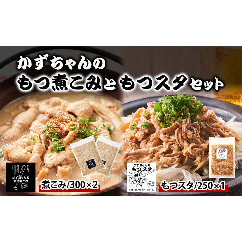 かずちゃんのもつ煮こみともつスタセット【300g×2袋,250g×1袋】惣菜 千葉県 千葉市 お取り寄せグルメ 球場グルメ 球場名物 おかず おつまみ 酒の肴 国産豚 ホルモン もつ 本格的 