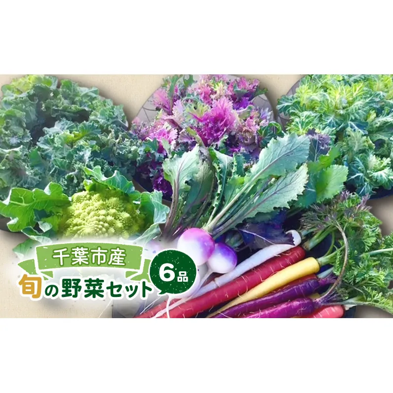 旬の野菜セット 6品 野菜 野菜セット 野菜詰め合わせ 詰め合わせ やさい 千葉市 千葉県