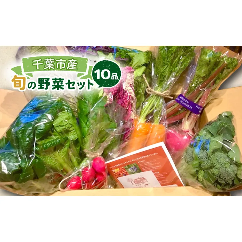 旬の野菜セット 10品 野菜 野菜セット 野菜詰め合わせ 詰め合わせ やさい 千葉市 千葉県