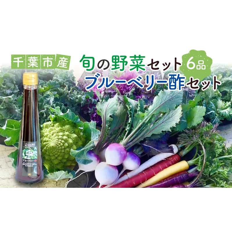 旬の野菜セット6品 ブルーベリー酢 セット 野菜 野菜セット 野菜詰め合わせ 詰め合わせ やさい 千葉市 千葉県