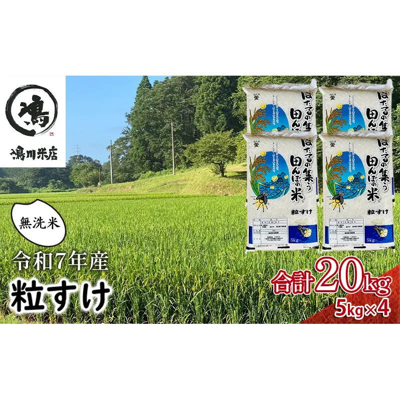 千葉県産　粒すけ　無洗米　20kg　令和7年　お米 米 こめ コメ 銘柄米 ご飯 おにぎり お弁当 和食 食卓 精米 国産 産地直送 千葉市 千葉県