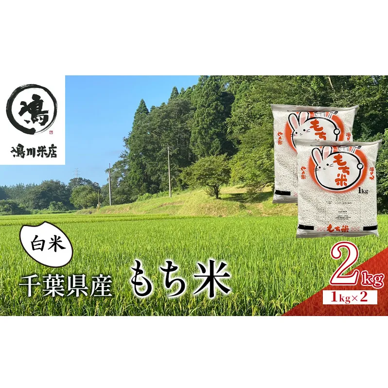 千葉県産　もち米　白米　２kg　令和7年  マンゲツモチ　お米 米 コメ こめ つやつや もちもち お弁当 おにぎり お取り寄せ 千葉市 千葉県