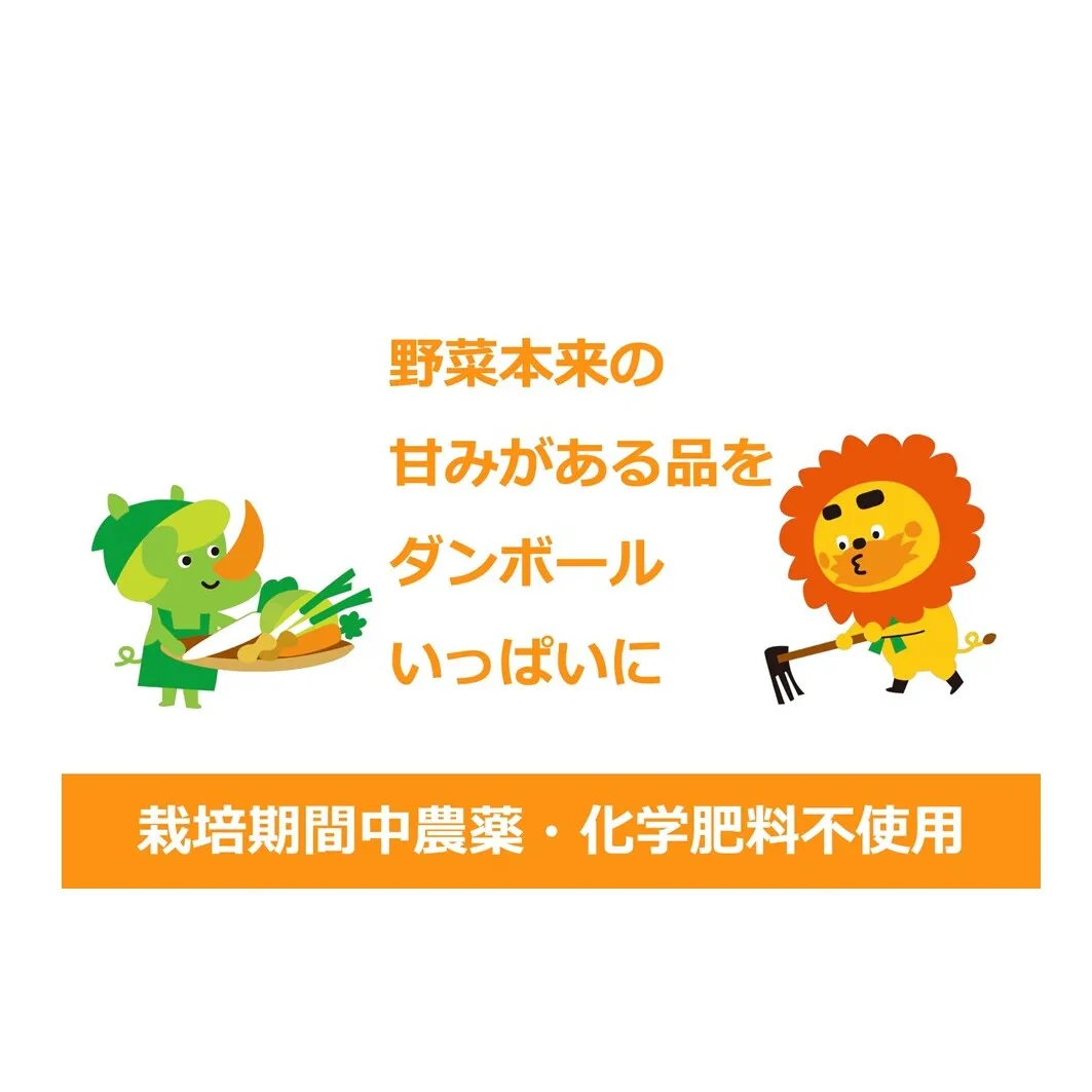 1名様向け／野菜5種セット 野菜セット 野菜詰合せ 産地直送 旬の野菜 農園直送 食べ物 食品 グルメ 食卓 ベジタブル 国産 日本産 国産野菜