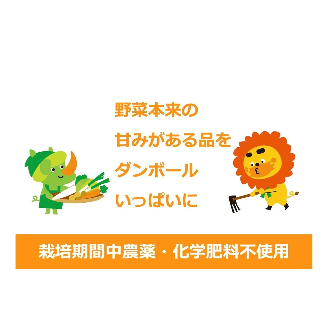 2~4名様向け/旬の野菜7種セット 野菜セット 野菜詰合せ 産地直送 農園直送 食べ物 食品 グルメ 食卓 ベジタブル 国産 日本産 国産野菜