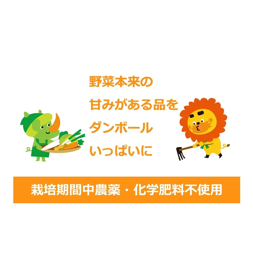 野菜 定期便 3ヶ月 2～4名様向け 野菜6種 セット＋加工品 旬の野菜 生野菜 やさい 新鮮 鮮度 産地直送 詰め合わせ 冷蔵 千葉 定期 お楽しみ 3回