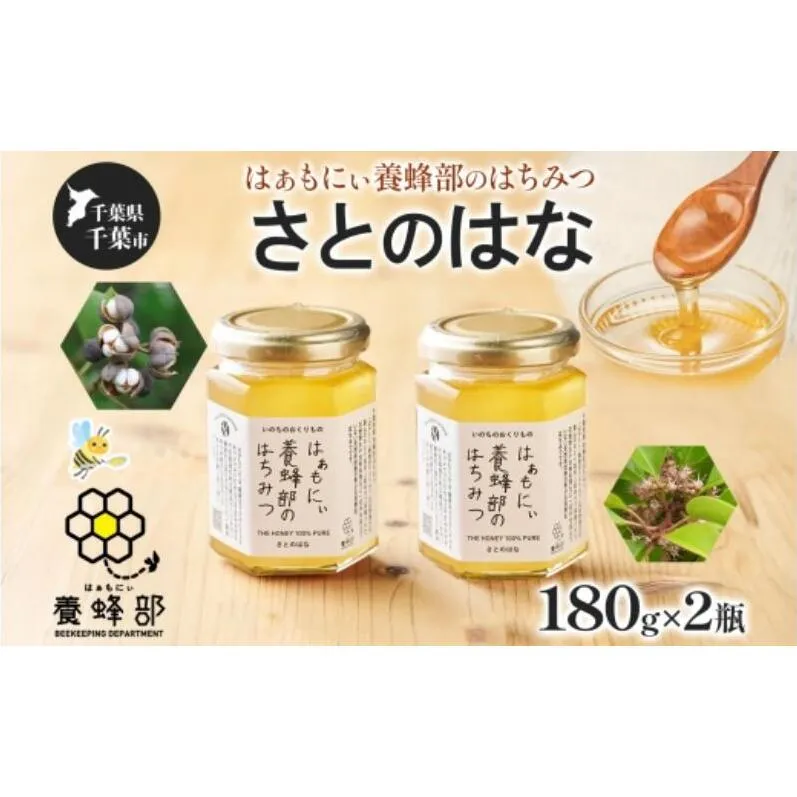 はぁもにぃ 養蜂部のはちみつ さとのはな 180g×2個 蜂蜜 ハチミツ 完熟 生はちみつ 非加熱 千葉県産 里山 花の蜜 百花蜜 ギフト 送料無料 千葉県 千葉市