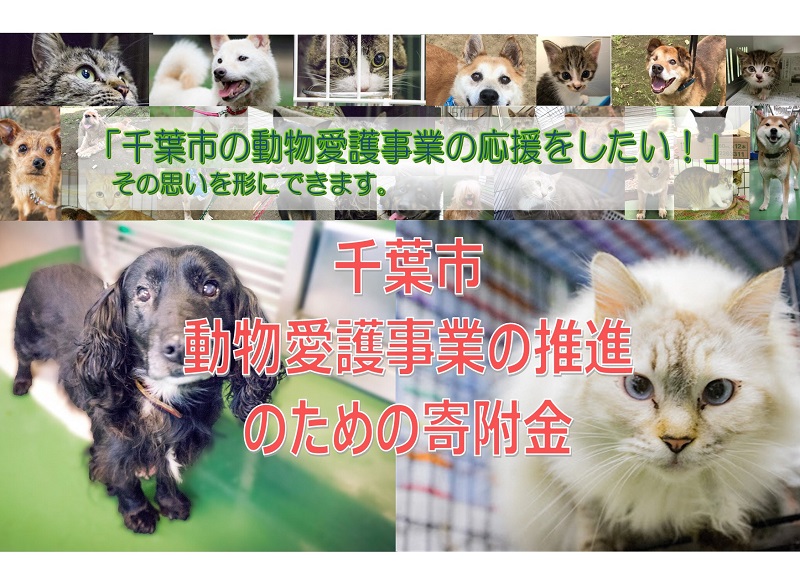 動物愛護の推進