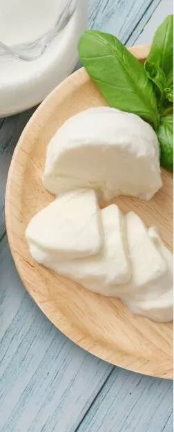 皆川牧場 チーズ ３種 セット　モッツァレッラ　カチョッタ　スカモルツァ　ご当地　船橋産