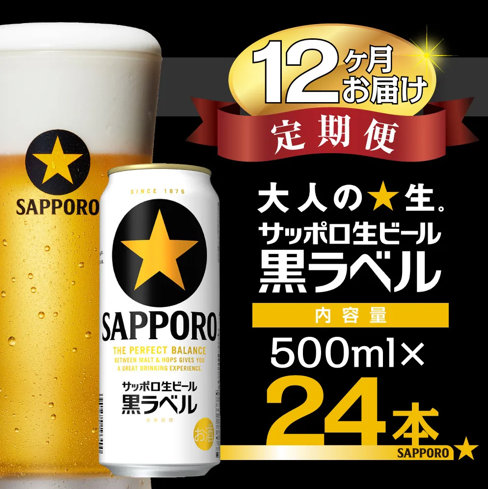 【12か月定期便】サッポロ ビール 黒ラベル 生ビール 500ml×24本 千葉県 船橋市 缶ビール お酒 12か月定期便