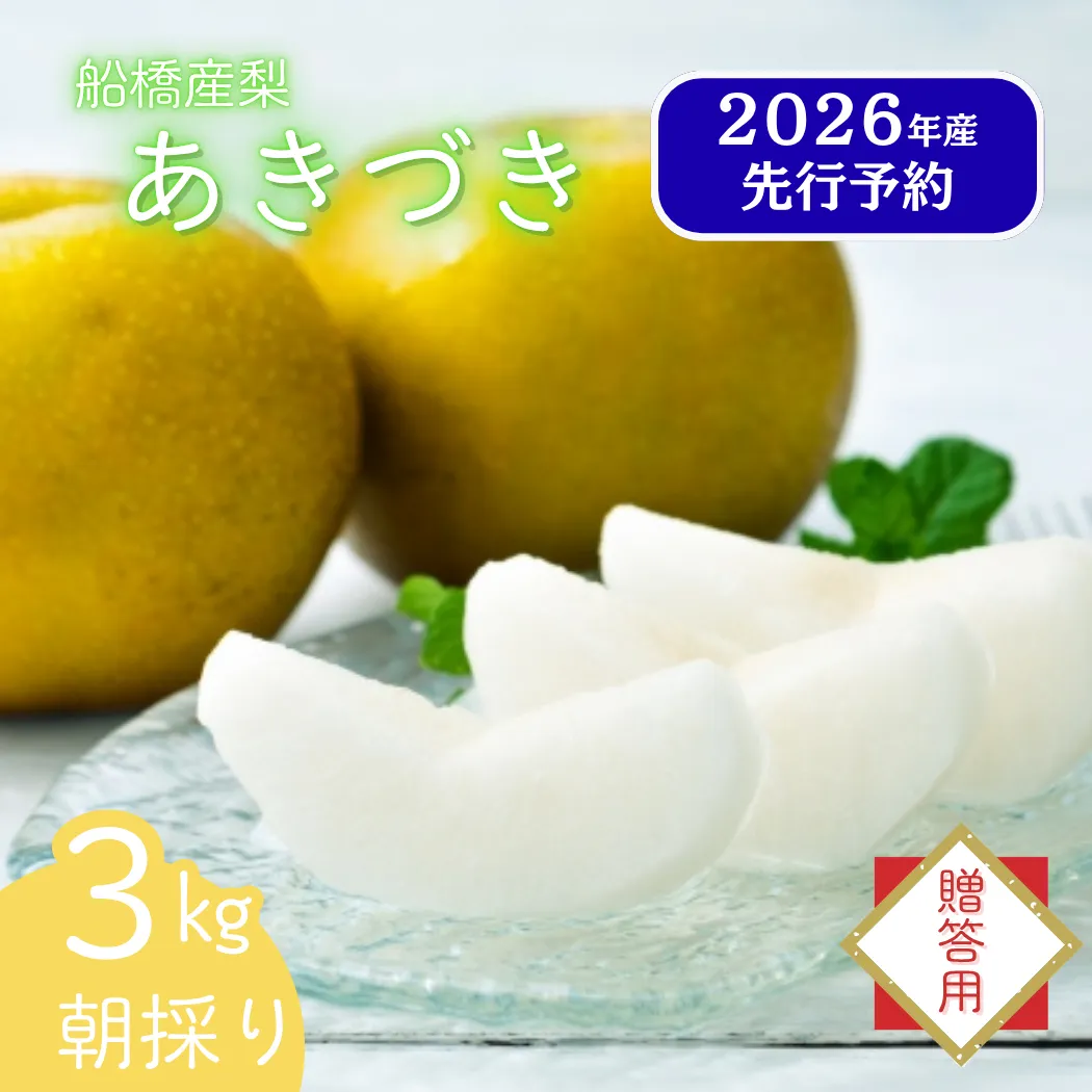 【2026年産先行予約】＜贈答用＞果汁たっぷりの極上梨「あきづき・3kg」6～9玉 千葉県 船橋市産